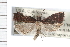  ( - 2008GM-0214)  @13 [ ] CreativeCommons - Attribution (2009) Unspecified Centre for Biodiversity Genomics