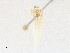  ( - CBG-A14985-G06)  @11 [ ] CreativeCommons - Attribution Share-Alike (2023) CBG Photography Group Centre for Biodiversity Genomics