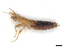  ( - CBG-A16682-H03)  @11 [ ] CreativeCommons - Attribution (2023) CBG Photography Group Centre for Biodiversity Genomics