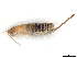  ( - CBG-A16682-H04)  @11 [ ] CreativeCommons - Attribution (2023) CBG Photography Group Centre for Biodiversity Genomics