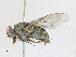  ( - CBG-A16699-B03)  @11 [ ] CreativeCommons - Attribution Share-Alike (2023) CBG Photography Group Centre for Biodiversity Genomics