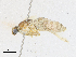  ( - CBG-A16699-D05)  @11 [ ] CreativeCommons - Attribution Share-Alike (2023) CBG Photography Group Centre for Biodiversity Genomics
