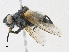  ( - CBG-A16700-E10)  @11 [ ] CreativeCommons - Attribution Share-Alike (2023) CBG Photography Group Centre for Biodiversity Genomics