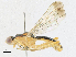  ( - CBG-A16716-A05)  @11 [ ] CreativeCommons - Attribution Share-Alike (2023) CBG Photography Group Centre for Biodiversity Genomics