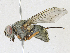 ( - CBG-A16716-C09)  @11 [ ] CreativeCommons - Attribution Share-Alike (2023) CBG Photography Group Centre for Biodiversity Genomics