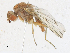  ( - CBG-A21650-A01)  @11 [ ] CreativeCommons - Attribution Share-Alike (2023) CBG Photography Group Centre for Biodiversity Genomics
