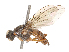  ( - CBG-B01512-F03)  @11 [ ] CreativeCommons - Attribution Share - Alike (2025) CBG Photography Group Centre for Biodiversity Genomics