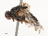  ( - CBG-B01517-C06)  @11 [ ] CreativeCommons - Attribution Share - Alike (2025) CBG Photography Group Centre for Biodiversity Genomics