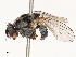  ( - CBG-B01646-H08)  @11 [ ] CreativeCommons - Attribution Share - Alike (2025) CBG Photography Group Centre for Biodiversity Genomics