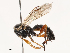  ( - CBG-B01651-G11)  @11 [ ] CreativeCommons - Attribution Share - Alike (2025) CBG Photography Group Centre for Biodiversity Genomics