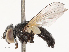 ( - CBG-B01660-E06)  @11 [ ] CreativeCommons - Attribution Share - Alike (2025) CBG Photography Group Centre for Biodiversity Genomics