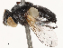  ( - CBG-B01660-E10)  @11 [ ] CreativeCommons - Attribution Share - Alike (2025) CBG Photography Group Centre for Biodiversity Genomics