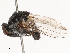  ( - CBG-B03396-C03)  @11 [ ] CreativeCommons - Attribution Share - Alike (2025) CBG Photography Group Centre for Biodiversity Genomics