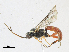  ( - CBG-A21650-D11)  @11 [ ] CreativeCommons - Attribution Share-Alike (2023) CBG Photography Group Centre for Biodiversity Genomics