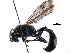  ( - BIOUG14451-G01)  @14 [ ] CreativeCommons - Attribution (2016) CBG Photography Group Centre for Biodiversity Genomics
