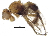  (Epiplatea - BIOUG20192-C07)  @13 [ ] CreativeCommons - Attribution (2016) CBG Photography Group Centre for Biodiversity Genomics