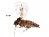  ( - BIOUG15190-H10)  @11 [ ] CreativeCommons - Attribution (2016) CBG Photography Group Centre for Biodiversity Genomics