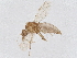  ( - BIOUG37364-A08)  @11 [ ] CreativeCommons - Attribution (2022) CBG Photography Group Centre for Biodiversity Genomics