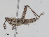 ( - CBG-A10839-F02)  @11 [ ] CreativeCommons - Attribution Share - Alike (2023) CBG Photography Group Centre for Biodiversity Genomics