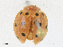  ( - CBG-A16717-B06)  @11 [ ] CreativeCommons - Attribution Share - Alike (2023) CBG Photography Group Centre for Biodiversity Genomics