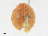  ( - CBG-A16717-B07)  @11 [ ] CreativeCommons - Attribution Share - Alike (2023) CBG Photography Group Centre for Biodiversity Genomics