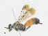  ( - CBG-A16718-C04)  @11 [ ] CreativeCommons - Attribution Share - Alike (2023) CBG Photography Group Centre for Biodiversity Genomics
