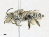 ( - CBG-A16718-D07)  @11 [ ] CreativeCommons - Attribution Share - Alike (2023) CBG Photography Group Centre for Biodiversity Genomics