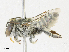  ( - CBG-A16718-D09)  @11 [ ] CreativeCommons - Attribution Share - Alike (2023) CBG Photography Group Centre for Biodiversity Genomics