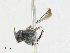  ( - CBG-A16718-F04)  @11 [ ] CreativeCommons - Attribution Share - Alike (2023) CBG Photography Group Centre for Biodiversity Genomics