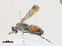  ( - CBG-A21693-F05)  @11 [ ] CreativeCommons - Attribution Share-Alike (2023) CBG Photography Group Centre for Biodiversity Genomics