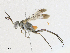  ( - CBG-A21694-E05)  @11 [ ] CreativeCommons - Attribution Share - Alike (2023) CBG Photography Group Centre for Biodiversity Genomics