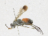  ( - CBG-A21694-E08)  @11 [ ] CreativeCommons - Attribution Share - Alike (2023) CBG Photography Group Centre for Biodiversity Genomics