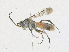  ( - CBG-A21694-G05)  @11 [ ] CreativeCommons - Attribution Share - Alike (2023) CBG Photography Group Centre for Biodiversity Genomics
