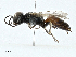  ( - BIOUG99552-D11)  @11 [ ] CreativeCommons - Attribution (2023) CBG Photography Group Centre for Biodiversity Genomics