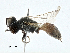  ( - BIOUG99552-E07)  @11 [ ] CreativeCommons - Attribution (2023) CBG Photography Group Centre for Biodiversity Genomics