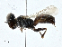 ( - BIOUG99552-F09)  @11 [ ] CreativeCommons - Attribution (2023) CBG Photography Group Centre for Biodiversity Genomics