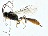  ( - BIOUG99552-H02)  @11 [ ] CreativeCommons - Attribution (2023) CBG Photography Group Centre for Biodiversity Genomics