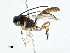  ( - BIOUG99554-E03)  @11 [ ] CreativeCommons - Attribution (2023) CBG Photography Group Centre for Biodiversity Genomics