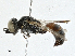  ( - CBG-A00347-E03)  @11 [ ] CreativeCommons - Attribution (2023) CBG Photography Group Centre for Biodiversity Genomics