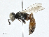  ( - CBG-A00347-E05)  @11 [ ] CreativeCommons - Attribution (2023) CBG Photography Group Centre for Biodiversity Genomics