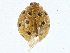  ( - CBG-A00353-C05)  @11 [ ] CreativeCommons - Attribution (2023) CBG Photography Group Centre for Biodiversity Genomics