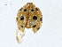  ( - CBG-A00353-C11)  @11 [ ] CreativeCommons - Attribution (2023) CBG Photography Group Centre for Biodiversity Genomics