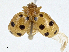  ( - CBG-A00353-D03)  @11 [ ] CreativeCommons - Attribution (2023) CBG Photography Group Centre for Biodiversity Genomics