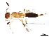  ( - BIOUG41125-D03)  @11 [ ] CreativeCommons - Attribution (2019) CBG Photography Group Centre for Biodiversity Genomics