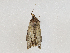  ( - CBG-A04477-B01)  @11 [ ] CreativeCommons - Attribution (2023) CBG Photography Group Centre for Biodiversity Genomics