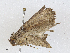  ( - CBG-A04477-D05)  @11 [ ] CreativeCommons - Attribution (2023) CBG Photography Group Centre for Biodiversity Genomics