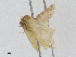  ( - CBG-A04477-D12)  @11 [ ] CreativeCommons - Attribution (2023) CBG Photography Group Centre for Biodiversity Genomics