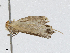  ( - CBG-A04478-C06)  @11 [ ] CreativeCommons - Attribution (2023) CBG Photography Group Centre for Biodiversity Genomics