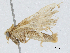  ( - CBG-A04485-A07)  @11 [ ] CreativeCommons - Attribution (2023) CBG Photography Group Centre for Biodiversity Genomics
