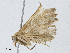  ( - CBG-A04485-B11)  @11 [ ] CreativeCommons - Attribution (2023) CBG Photography Group Centre for Biodiversity Genomics